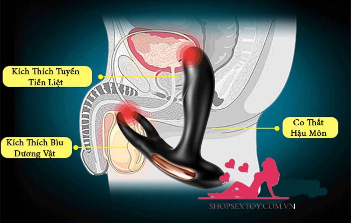 Máy Rung Hậu Môn Đa Điểm Sưởi Ấm HM32 Kích Thích Điều Khiển Xa