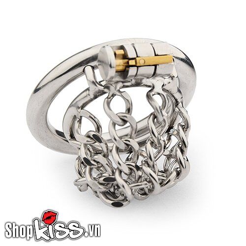 Stainless Steel BDSM Chain Cock Lock Device