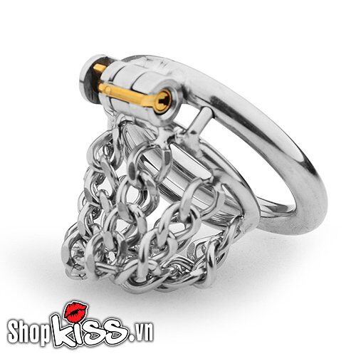 Stainless Steel BDSM Chain Cock Lock Device