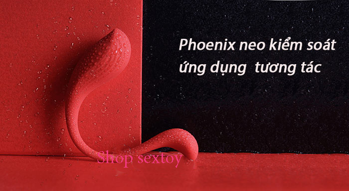 Bộ quà tặng BDSM Svakom Limited 4 món cao cấp sang trọng quyến rũ