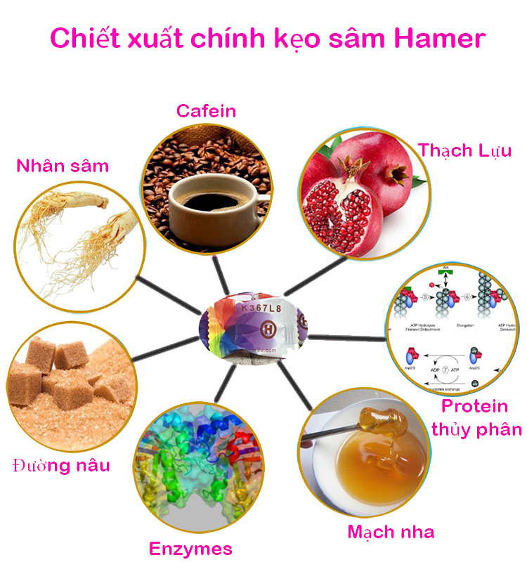  Đánh giá Kẹo sâm Hamer Malaysia tăng sức khỏe nam giới hộp 32 viên tốt nhất