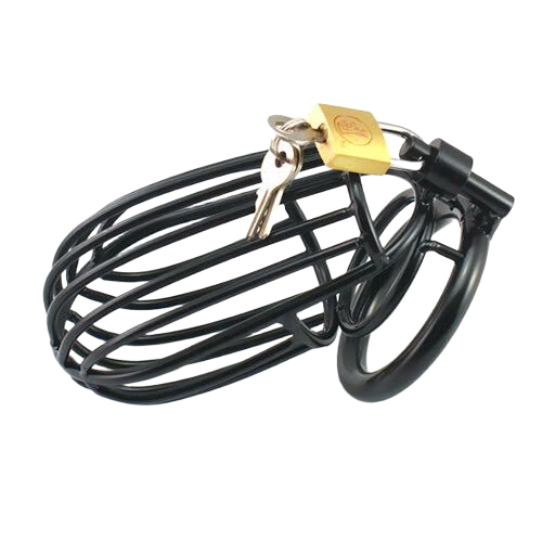  Shop bán Khóa dương vật bằng thép không gỉ kiểu lồng chim  hàng xách tay 