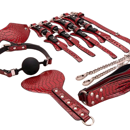  Nơi bán Bộ dụng cụ bạo dâm 7 món bằng da PU họa tiết da cá sấu  cao cấp 