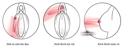 Máy rung kích thích nhũ hoa và điểm G Svakom DC89K đồ chơi tình dục giá rẻ, trứng rung giá rẻ cho nữ thủ dâm Sài Gòn.