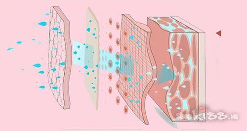 Dĩa mát xa vú điều khiển từ xa không dây cao cấp