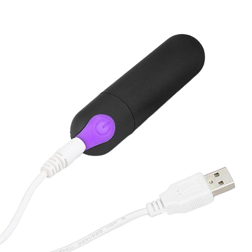 Quần lót gắn trứng rung điều khiển từ xa Lovetoy JOY silicon ABS đen