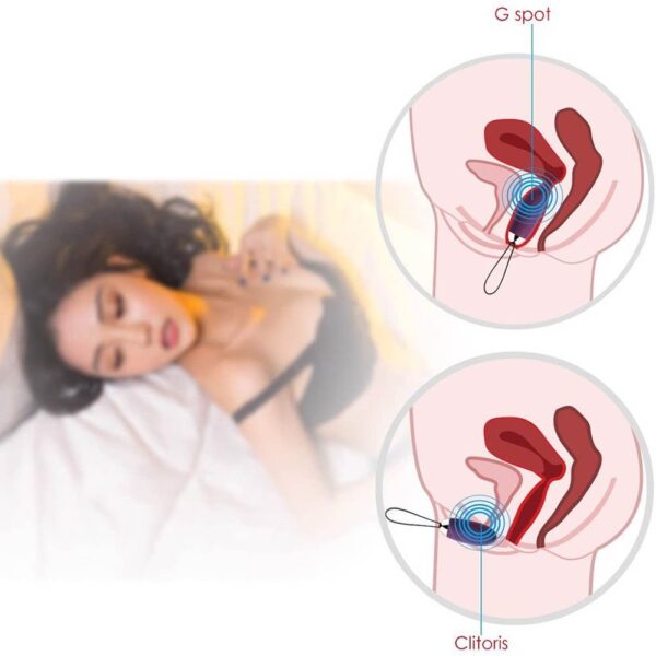 Svakom Elmer trứng rung cao cấp điều khiển từ xa 10 chế độ