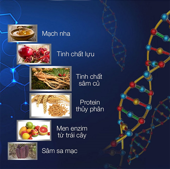  Giá sỉ Kẹo Sâm Xtreme Candy Chính Hãng Malaysia tốt nhất