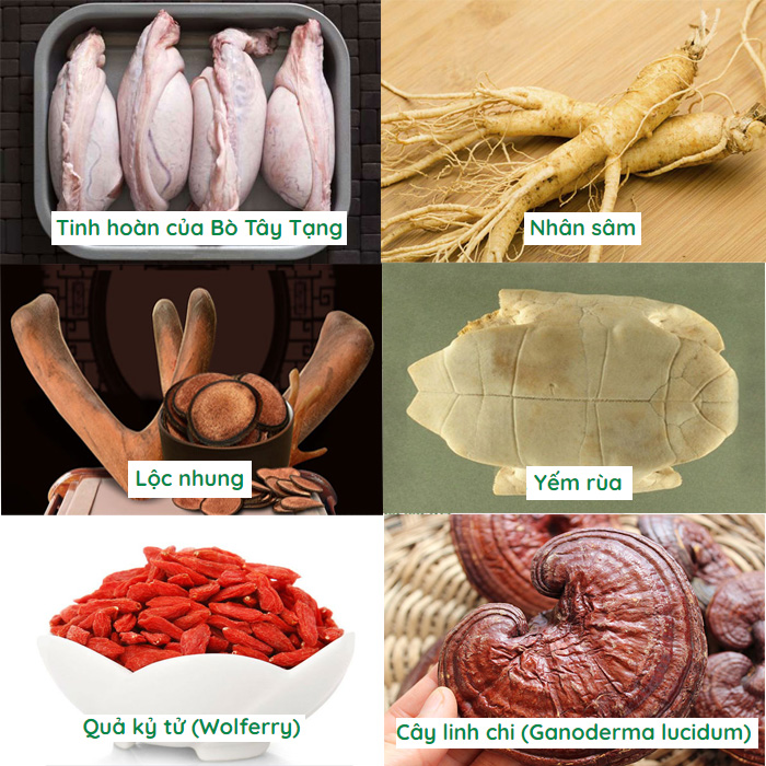 Japan Tengsu Nhật Bản 0.5g 16 Viên tăng cường sinh lực nam