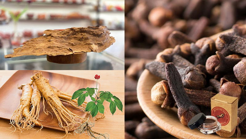  Review Bồi Nguyên Thảo hàng xách tay