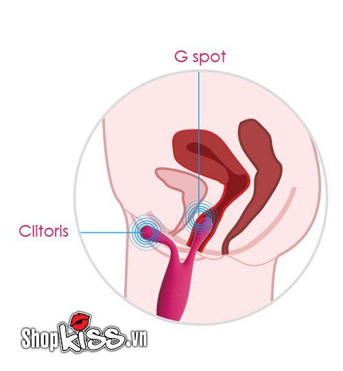  Địa chỉ bán Máy rung massage cho nữ cao cấp ba đầu Svakom Marin chính hãng mới nhất