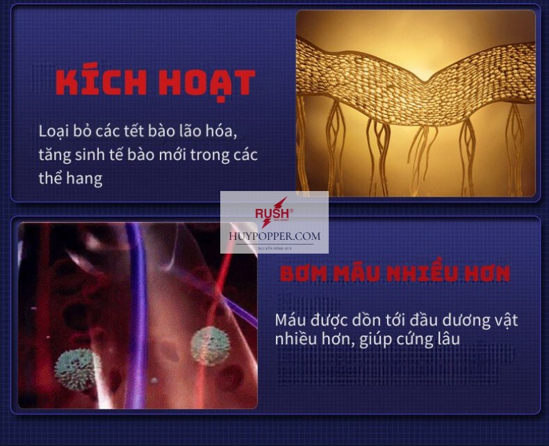 Máy Rung Thủ Dâm Đầu Dương Vật Điều Khiển App Giá Tốt