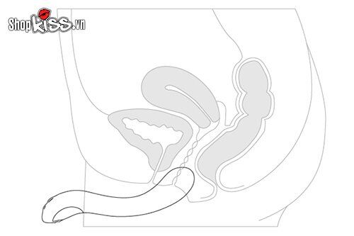 Dụng cụ kích thích điểm G Lovense Osci 2 cao cấp điều khiển app dễ dùng