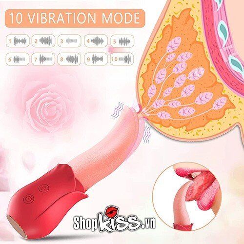  Đại lý Máy rung liếm Hoa Hồng kích thích điểm G và âm vật tốt nhất