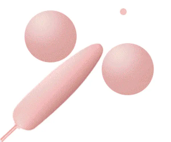 Trứng Rung 3 Đầu EG36A Kích Thích Âm Vật Âm Đạo Màu Hồng Tím