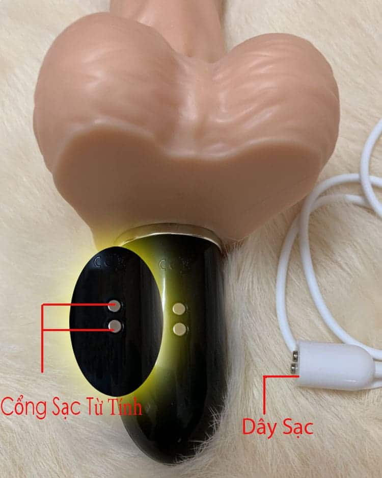 DV71A dương vật giả cao cấp rung thụt ấm nóng kích thích nữ