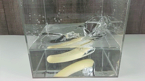 Máy rung Tenga Nhật cao cấp tận hưởng khoái cảm đỉnh cao Máy rung Tenga Nhật cao cấp tận hưởng khoái cảm đỉnh cao