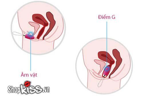 Shop bán Trứng rung cao cấp điều khiển từ xa Svakom Elva chính hãng của Mỹ hàng mới về Shop bán Trứng rung cao cấp điều khiển từ xa Svakom Elva chính hãng của Mỹ hàng mới về