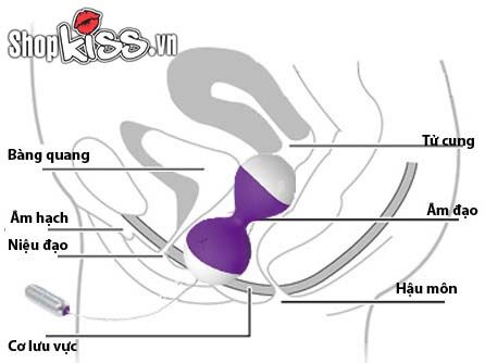  Bán Trứng rung mát xa điểm G Miu Miu – Điều khiển từ xa giá sỉ
