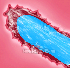 Trứng rung hai đầu thụt Leten siêu mạnh kích thích âm đạo nữ