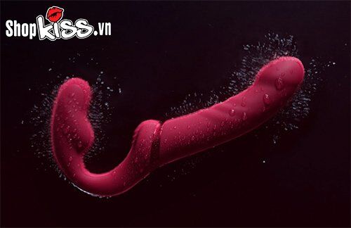 Dương Vật Giả 2 Đầu Lovense Lapis Điều Khiển App Cho Les Cặp Đôi