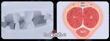 Cốc thủ dâm Leten Spinner xoáy siêu mạnh kích thích cực đỉnh