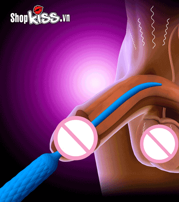 Thanh rung lỗ tiểu silicon kích thích niệu đạo cho nam gay
