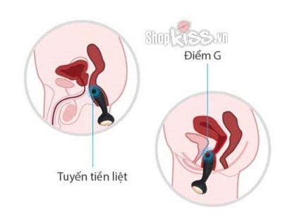 Trứng Rung Kích Thích Judy Svakom Mỹ Silicon Cao Cấp - 10 Chế Độ