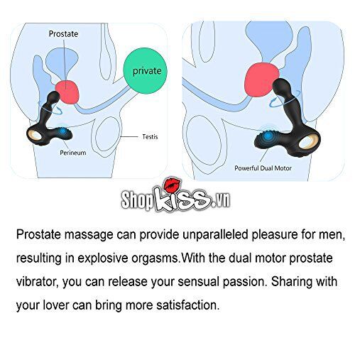 Máy Kích Thích Hậu Môn NV Toys Cako Silicone Rung Ngoáy 360 Độ Pin Sạc