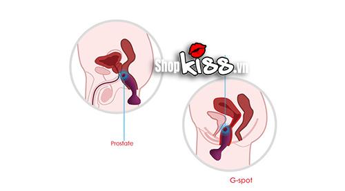 Dụng cụ kích thích hậu môn Svakom Julie Mỹ chính hãng siêu bền giá tốt