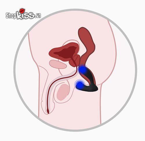 Bảng giá Dụng cụ kích thích hậu môn cao cấp Svakom Vick Neo – Điều khiển qua app có tốt không? Bảng giá Dụng cụ kích thích hậu môn cao cấp Svakom Vick Neo – Điều khiển qua app có tốt không?