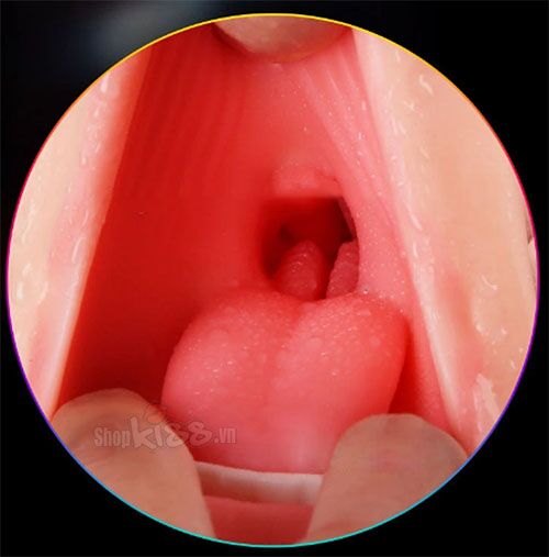 Âm Đạo Giả Hai Đầu Silicone TPE Môi Xinh Bướm Hồng Dùng Nhiều Lần