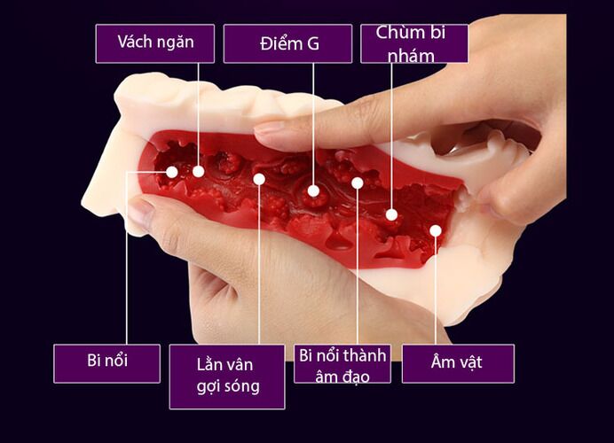 Leten âm đạo giả ruột 3D đỏ siêu thực kích thích mạnh mẽ