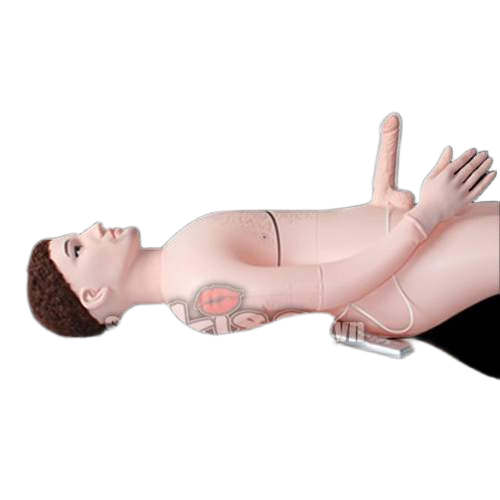 Búp bê tình dục bơm hơi nữ thủ dâm chiều cao 170cm gọn nhẹ 