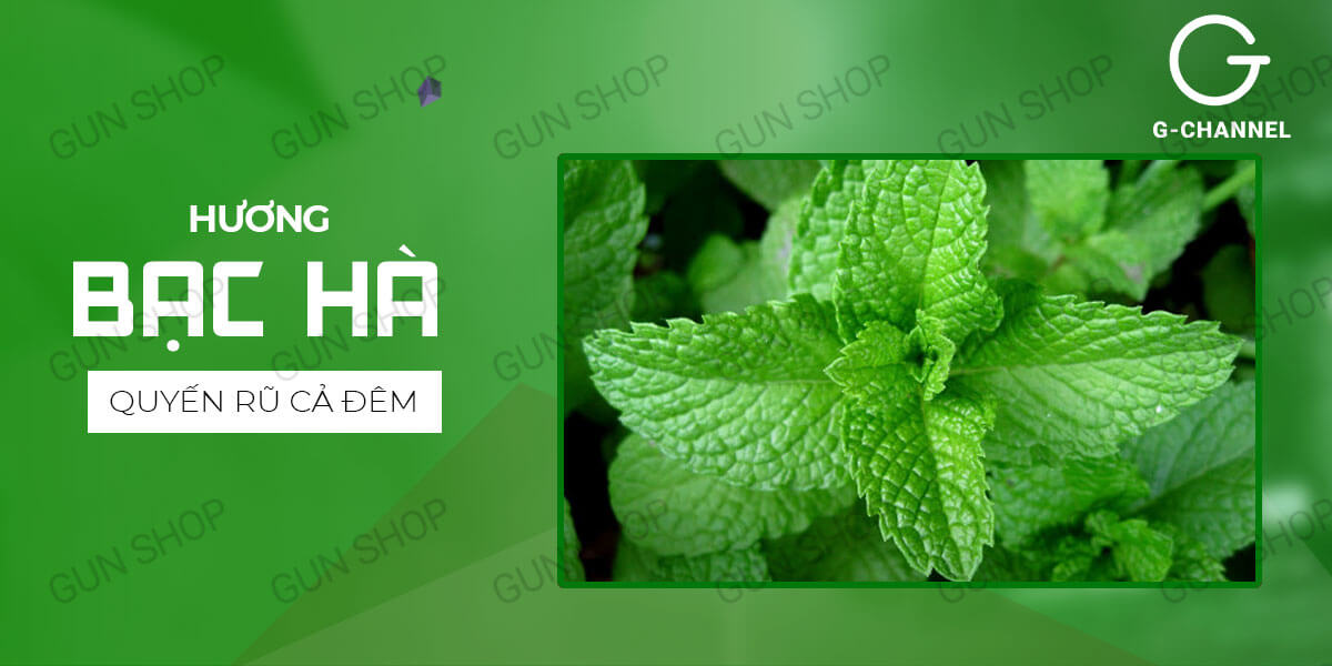  Bảng giá Bao cao su OKHQ hương bạc hà - Hộp 144 cái hàng mới về