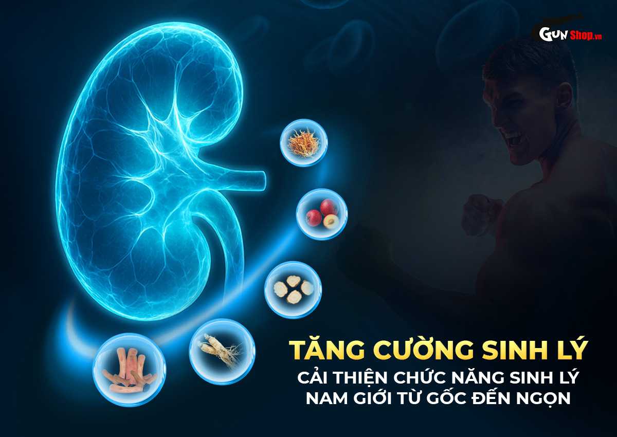Viên uống cường dương Ngựa Thái tăng sinh lý nam hiệu quả