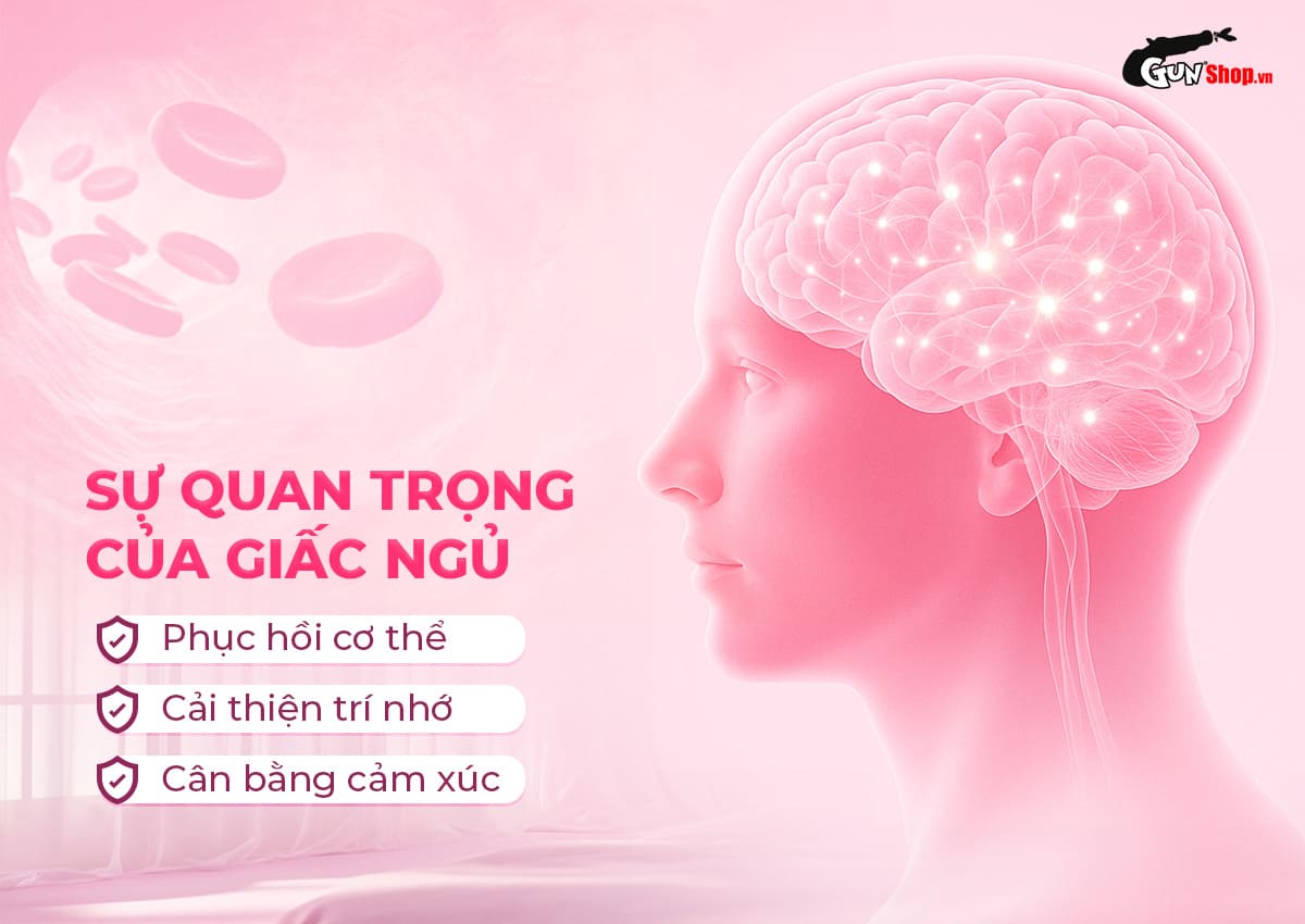 Powegra Gentle Dreams 60 viên hỗ trợ giấc ngủ sâu, giảm mất ngủ