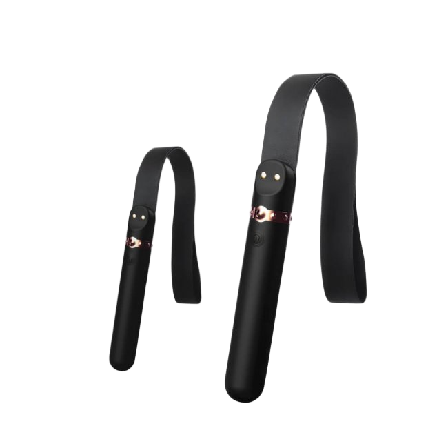  Nơi bán Máy massage kết hợp roi da BDSM Shelly Play Temptation  giá sỉ 