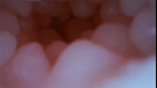 Âm Đạo Giả Leten Yui Hatano Mềm Mại Co Bóp Tự Động