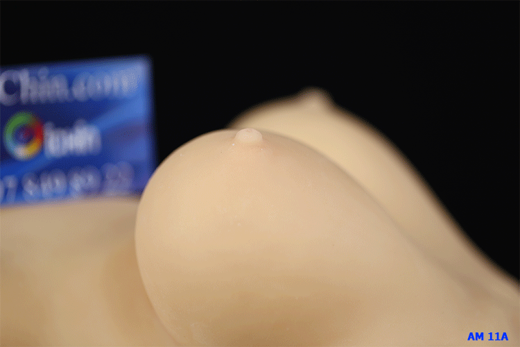 Satomi Ishihara Two-Hole Soft Medical Silicone Doll