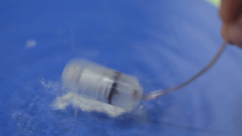 Pink Pussy rung đa cấp siêu êm silicon bảo hành chính hãng Pink Pussy rung đa cấp siêu êm silicon bảo hành chính hãng