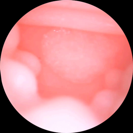 Shop bán Âm đạo giả ManMiao Lovely Catwoman mềm mại kiểu dáng mèo đáng yêu mới nhất Shop bán Âm đạo giả ManMiao Lovely Catwoman mềm mại kiểu dáng mèo đáng yêu mới nhất