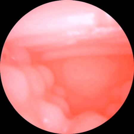 Shop bán Âm đạo giả ManMiao Lovely Catwoman mềm mại kiểu dáng mèo đáng yêu mới nhất Shop bán Âm đạo giả ManMiao Lovely Catwoman mềm mại kiểu dáng mèo đáng yêu mới nhất