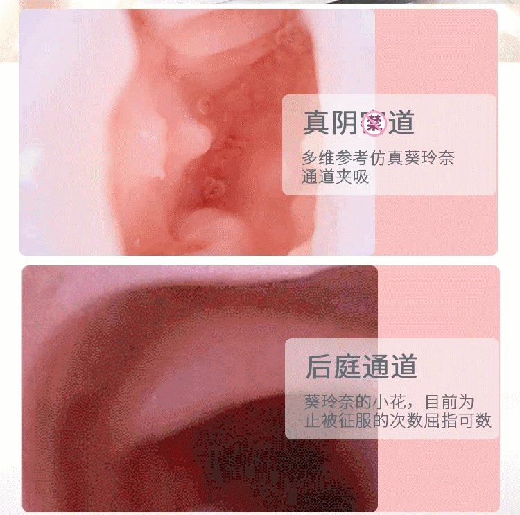 Búp bê tình dục RENDS Rena Aoi 2 lỗ siêu mềm mịn Nhật Bản