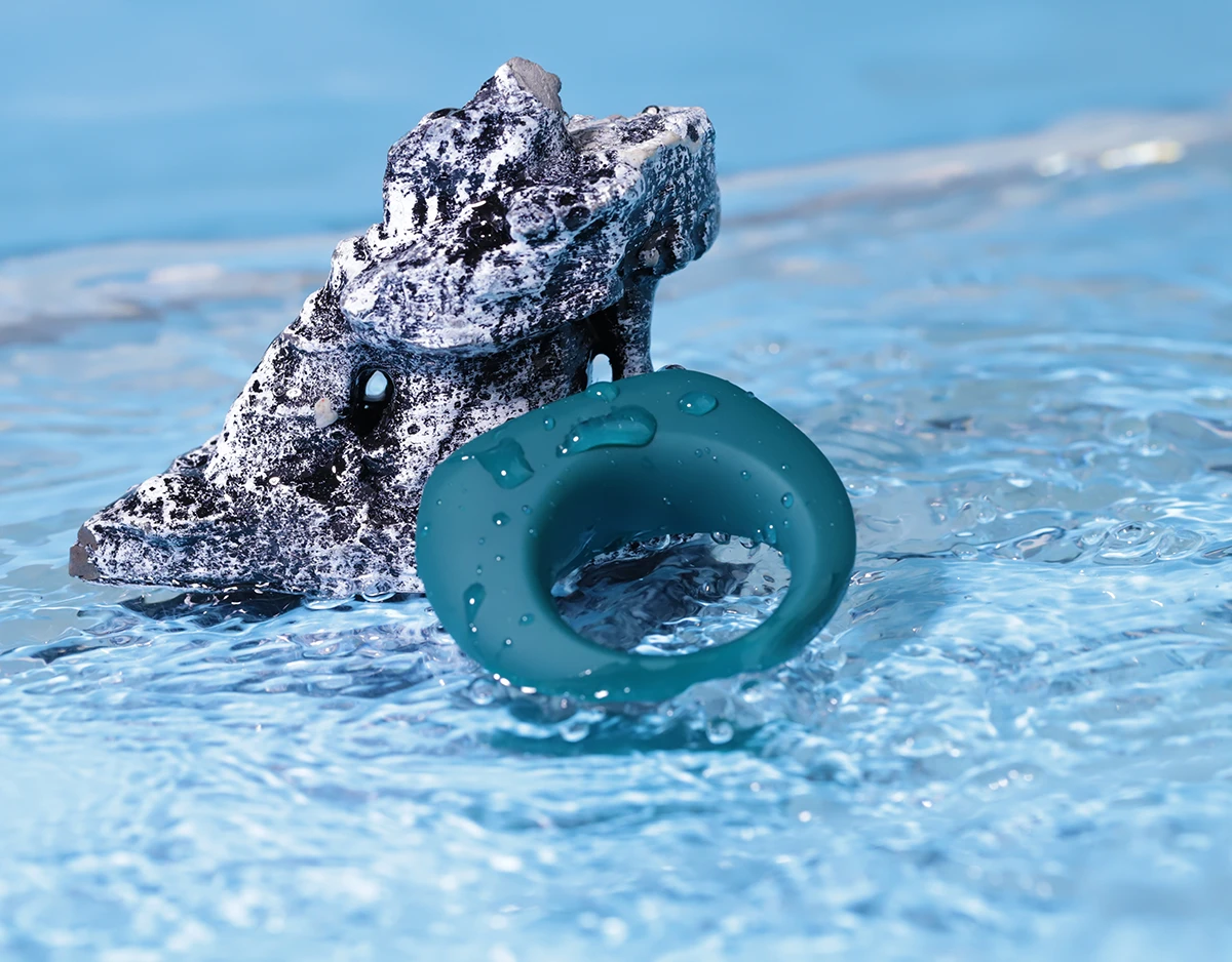  Nhập sỉ Vòng rung Magic Motion Dante II kết nối điện thoại thông minh giá sỉ