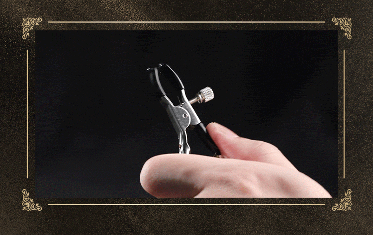 Adjustable SM Nipple Clamps BDSM Accessories For Intense Pleasure