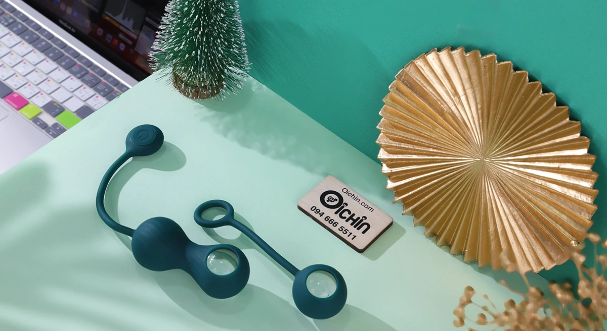  Nhập sỉ Fun Town Crystal Duo máy rung thông minh tập luyện thu hẹp cô bé có tốt không?