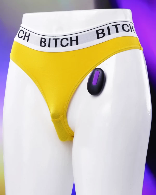 Lovetoy Bitch quần chíp rung điều khiển từ xa mọi lúc mọi nơi