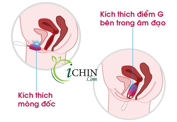 Svakom Elva Trứng Rung 26 Kiểu Thông Minh Tự Động Cao Cấp