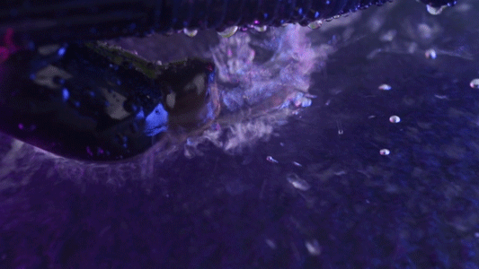 Toysheart Ecstasy Vibe Big Dương Vật Giả Nhật Bản Rung Xoay Mạnh